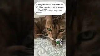 Ссора с женой. #анекдототкожаного