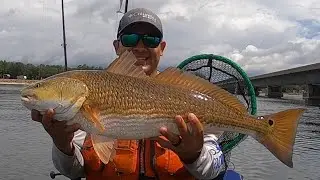 Kayak Fishing Midbay Bridge Choctawhatchee Bay | Big Redfish and Black Drum