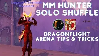 MM HUNTER SOLO SHUFFLE TIPS & TRICKS - DRAGONFLIGHT PvP ANALYSIS