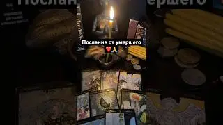 Послание от умершего 🙏🖤 #таро Запись на личную консультацию +79046707505 Карина