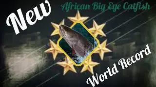 African Big Eye Catfish - World Record - 6.971 Kg