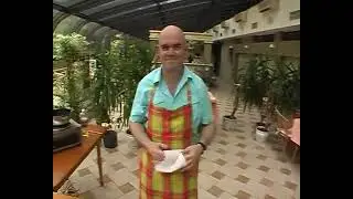 Не жалейте заварки.   Закуска Сигары с мясом