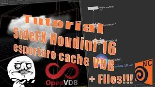 Tutorial SideFX Houdini Export VDB Cache + Files di esempio
