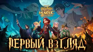 HARRY POTTER: Magic Awakened - первый взгляд