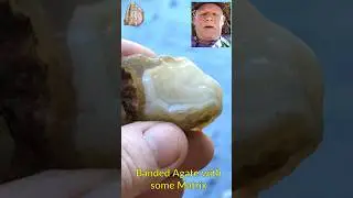 Banded Agate from an Oregon River Rockhounding fun #short