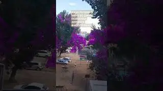 22 августа 2024 г.