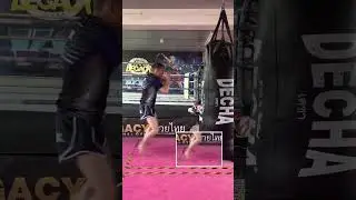 Switch lead roundhouse kick