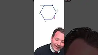 Why Does Every Polygon's Exterior Angles Add Up to 360º? The Slow Turtle Knows!