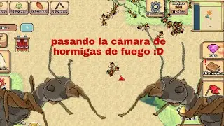 💥PASANDO LA CAMARA DE HORMIGAS DE FUEGO💥