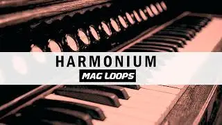 MAG Loops - Romantic Harmonium Pack Vol 7 - Royalty Free Loops & Samples
