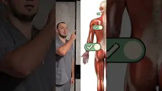 Быстро расслабить спину #массаж #shorts