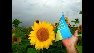 Рубіжне, літо 2018 року...