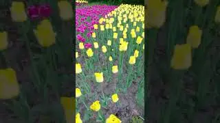 3 июня 2021 г.