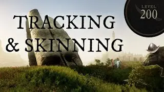 The most BOARING way to max out Tracking and Skinning in NEW WORLD!
