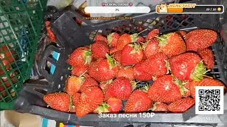 🔴ЧТО МОЖНО НАЙТИ НА МУСОРКАХ САНКТ-ПЕТЕРБУРГА . СТРИМ
