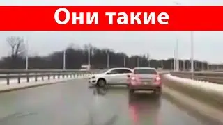 Чайники на дороге - жди беды, их жизнь ничему не учит