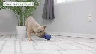 Barrett Tough Tennis Jumble