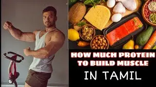 How Much Protein Per day To Build Muscle -  எத்தனை புரதம் தசைகளை கட்டுவது??