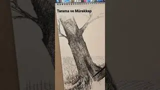 Tarama ve Mürekkep