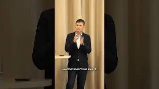 Как жизненные принципы определяют путь #принципы #жизненныеистории #психология