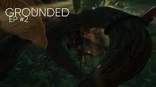 GROUNDED EP#2