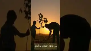 Amazing Recitation on Bir Al Walidayn -Respect and kindnesses towards parents.