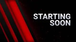 Scooby Nooby Live Stream