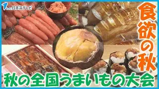 【食欲の秋】に全国のうまいものを！　食欲の秋に北海道から沖縄まで各地自慢の商品が集結　鳥取県米子市