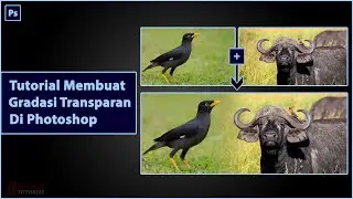 Tutorial Membuat Gradasi Transparan di Photoshop