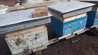 Выставил  и  сразу  хороший  облёт !!!