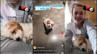 Sockie Having MORNING CUDDLES w/ WINKY And Showing You HOW SHE MAKES WINKY’S Breakfast