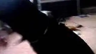Girl vs Dog