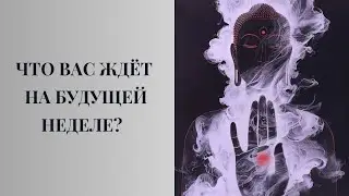 Что вас ждёт на будущей неделе? #таро