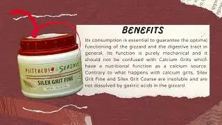 Psittacus Silex Grit Fine