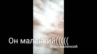 Он маленький!!!!!!