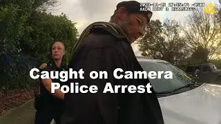 Bizarre Arrest: Man, Possum & Rush Hour!