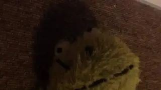 Pokémon In A Nutshell