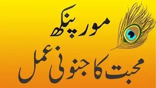 Mor Pankh Hub Ka Sartaj Amal