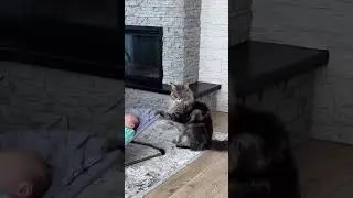 Бесплатная нянька 😂