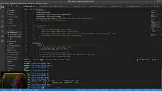 Flutter 