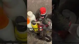 Un jour normal dans ma tête 🤭
