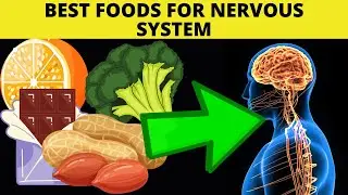 12 Best Foods For Your Nervous System | Natural Foods For Nerves( Neuropathy Remedies)