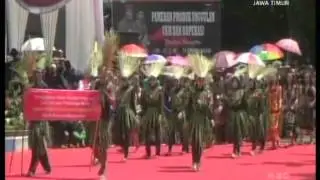 Pawai Budaya Nusantara