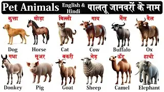 pet animals in english and hindi with pdf  | domestic animals | पालतू जानवरों के नाम |