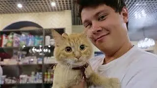 Ветеринарный центр Dr.Hug .Реклама.