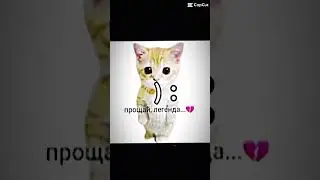 Он легенда… #тренды #рекомендации #tiktok #мем #мемы #эльгато