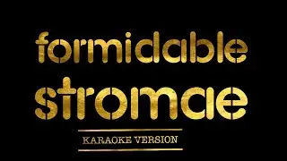 Stromae - Formidable (Karaoke Version)