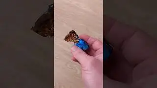 Конфета и печальный малыш.