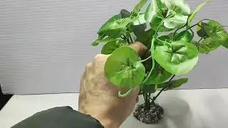 Пластиковое растение для аквариума Гидрокатила зеленая, 25 см