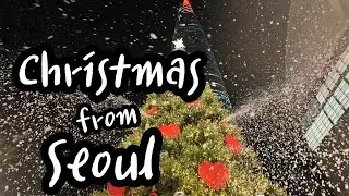 잠실 크리스마스마켓 롯데타운 크리스마스트리 여행vlog 서울여행 KFOOD 화이트 크리스마스 롯데월드타워 데이트코스추천 스트리트 푸드 떡볶이 Travel in Korea 한국여행